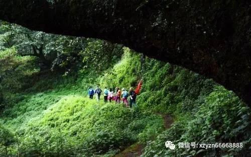 交通公路赛车手