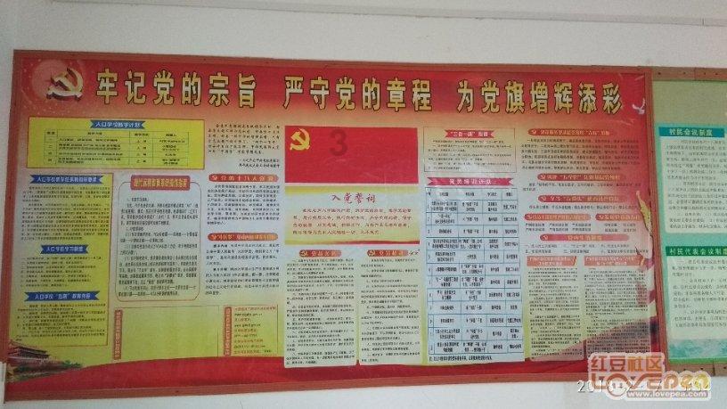 疯狂的小偷