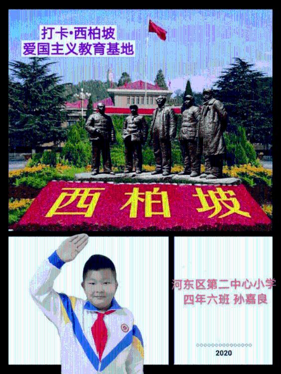 植物大战僵尸5